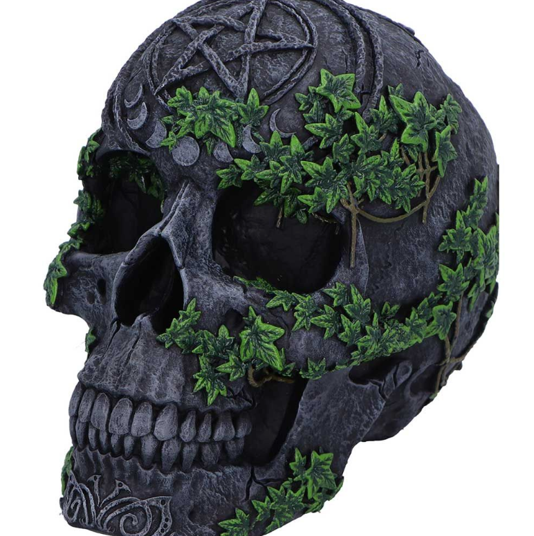 Aged Pentagram Skull 18.8cm