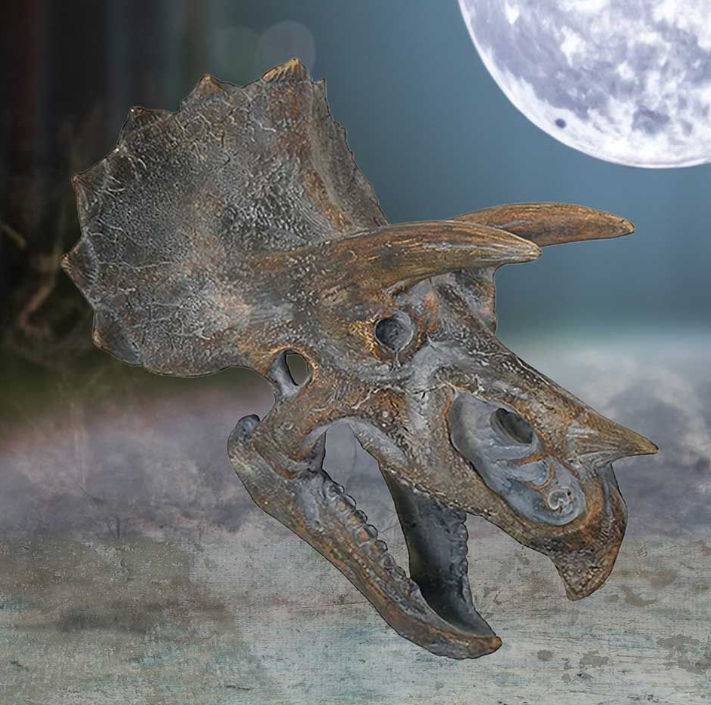 Triceratops Head 23cm