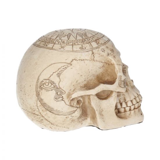 Astrological Skull 20cm