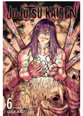 Jujutsu Kaisen, Vol. 06