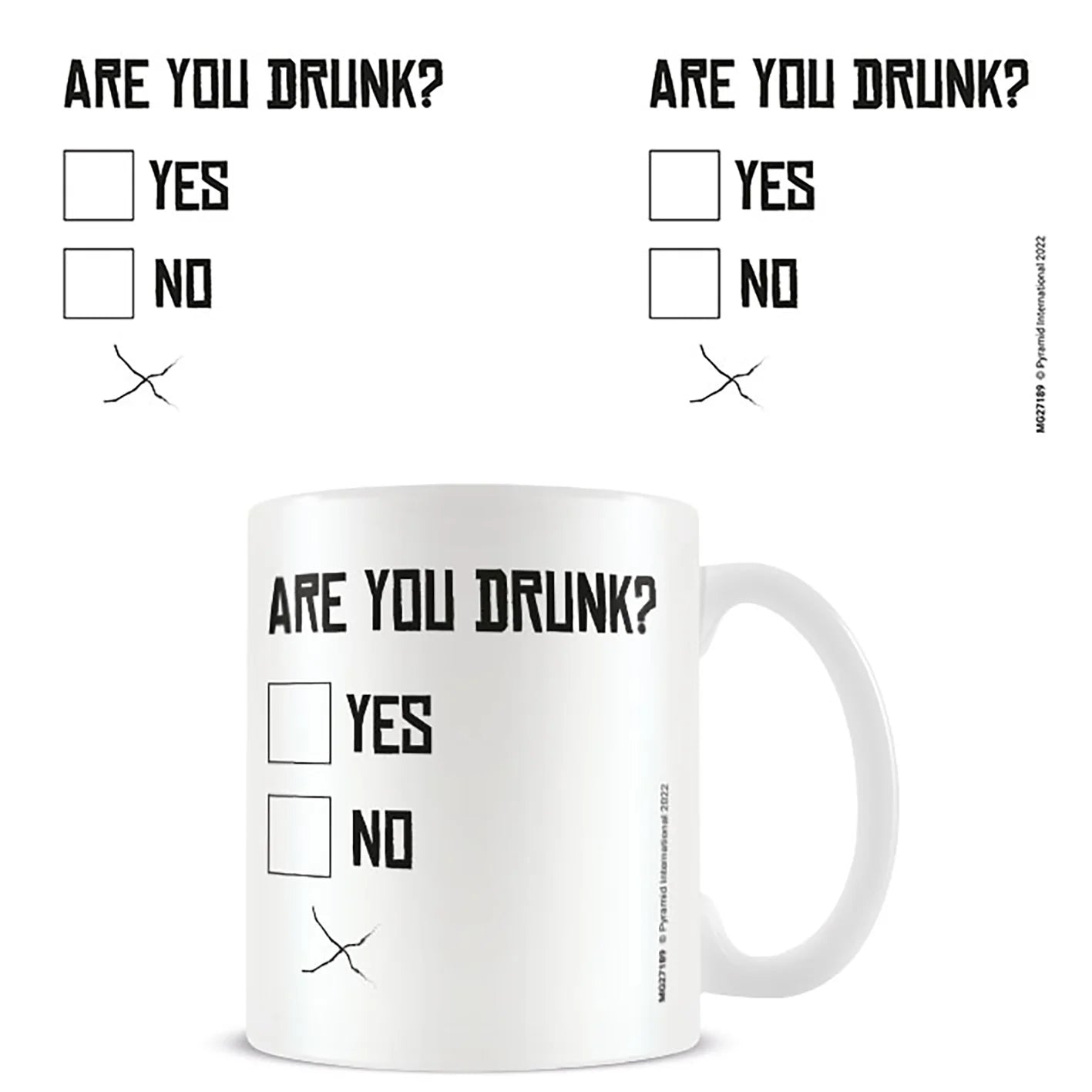 315ml Mug - Are You Drunk Mug