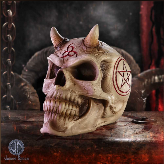 666 Skull  20cm