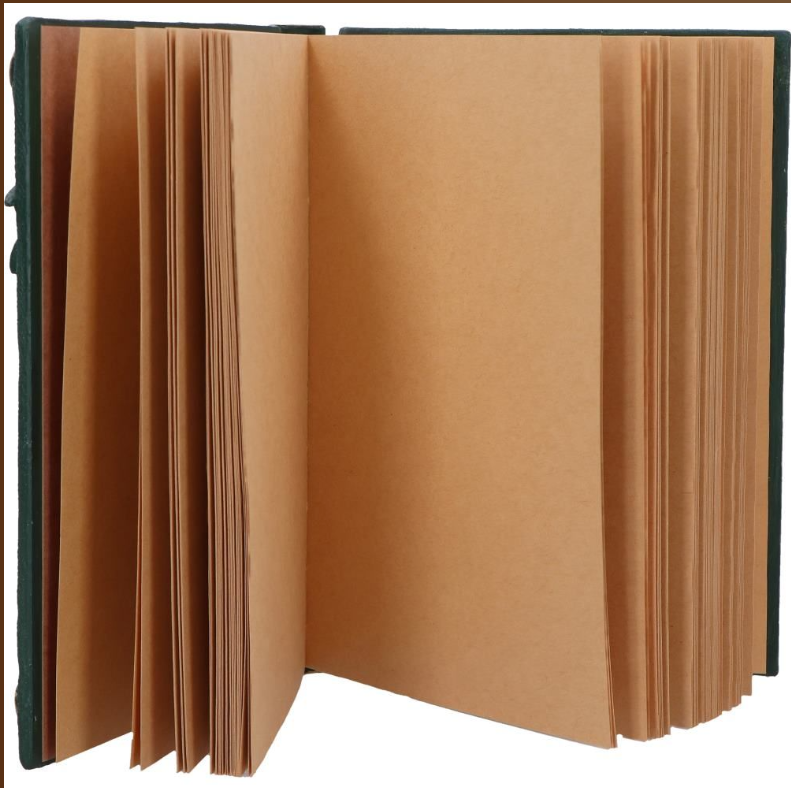 Dragon's Grimoire Journal 19.2cm