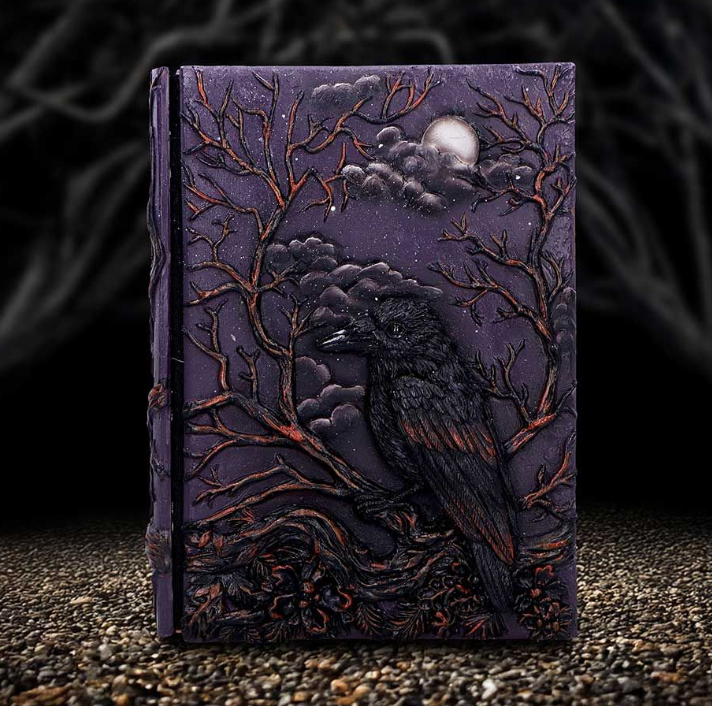 Raven's Grimoire Journal 19cm