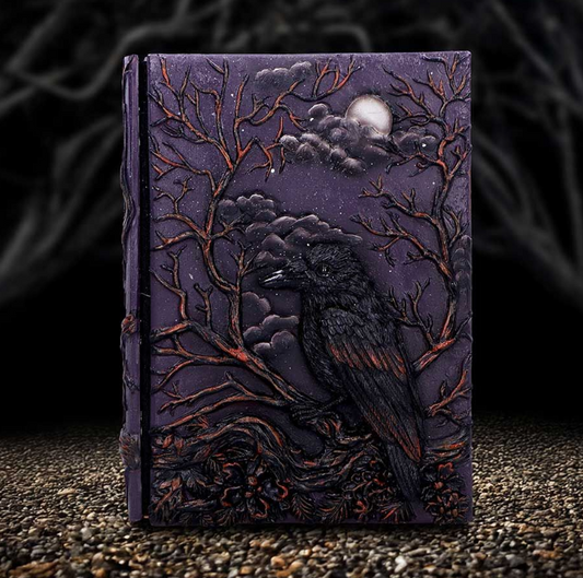 Raven's Grimoire Journal 19cm