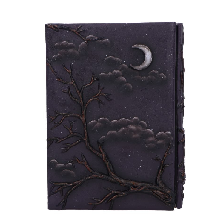 Raven's Grimoire Journal 19cm