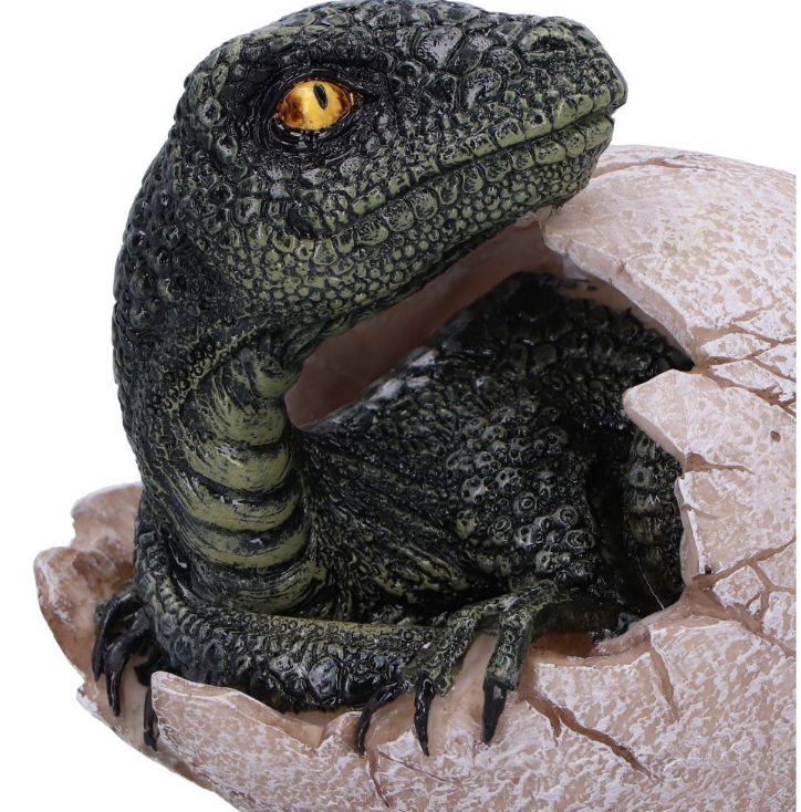 Raptors Dawn 10cm