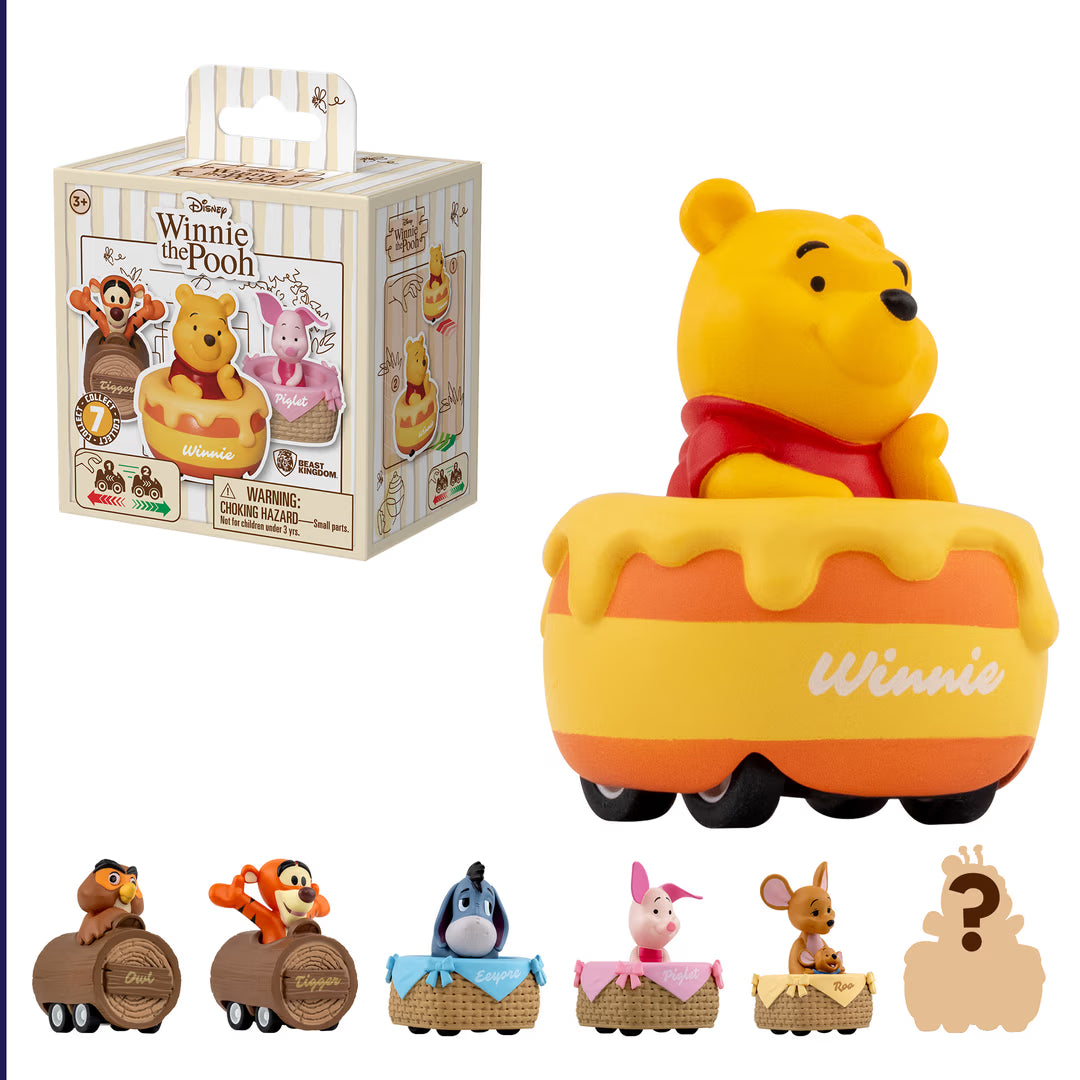 Winnie the Pooh Zoom Hero Blind Box Series 1