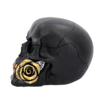 Black Rose from the Dead 15cm