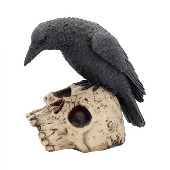 Raven Remains Figurine Crow Skull 13cm