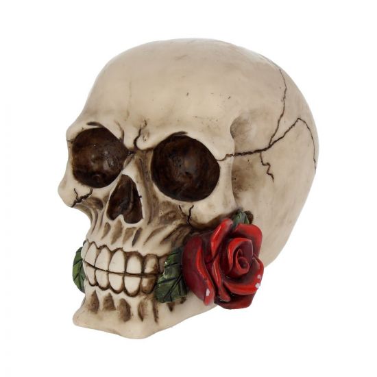 Rose From the Dead Skull Ornament 15cm